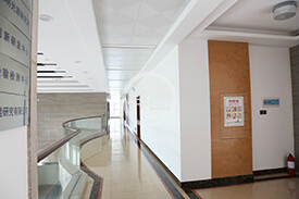 固態蜜桃臀91成人无码精品廠家